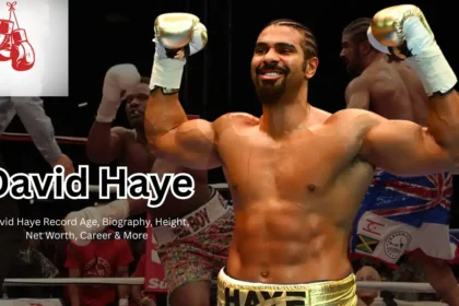 David Haye Record