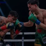 Brandon Figueroa Stats