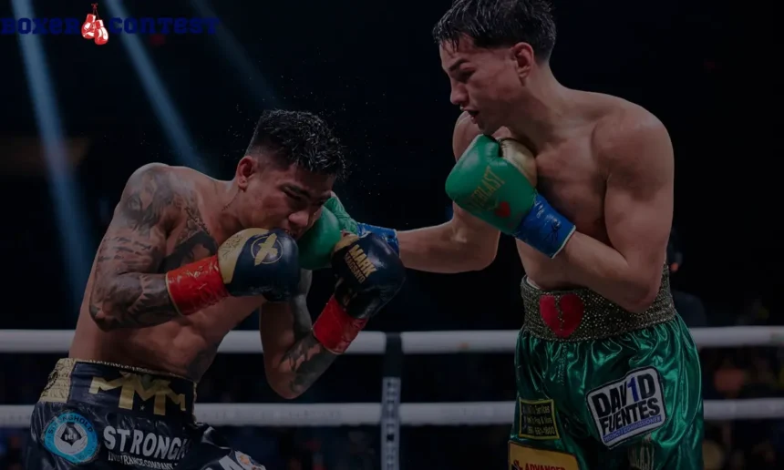 Brandon Figueroa Stats